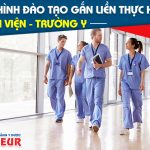 Vì sao Cao đẳng Điều dưỡng Sài Gòn thu hút nhiều thí sinh đăng ký theo học?