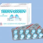 Terpin codein trị ho long đờm có hiệu quả ?
