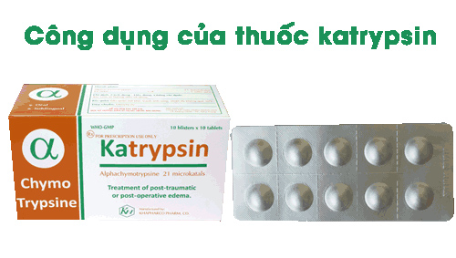 Tổng hợp thông tin cần thiết về thuốc Katrypsin