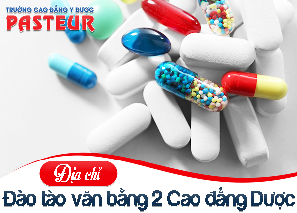 Dia Chi Dao Tao Van Bang 2 Cao Dang Duoc Pasteur