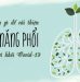 Lam Gi Cai Thien Chuc Nang Phoi Avt
