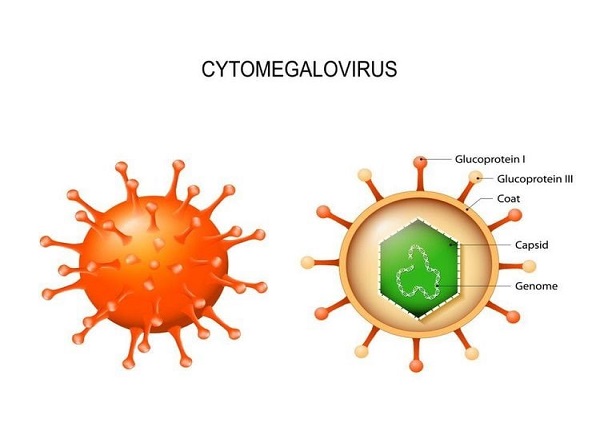 <center><em>Hình ảnh Cytomegalovirus</em></center>