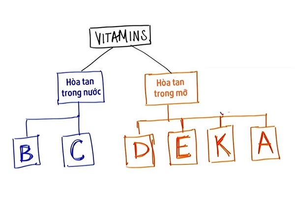 <center><em>C là loại Vitamin tan trong nước</em></center>