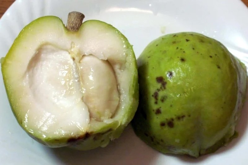 Phần bên trong của quả bánh kem khi chín