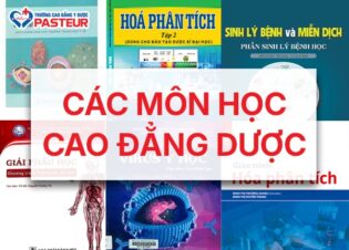 Các môn học Cao đẳng Dược có trong chương trình học