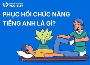 Ngành Phục hồi chức năng tiếng Anh là gì? Tìm hiểu về thuật ngữ chuyên ngành PHCN 