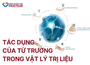 Tác dụng của từ trường trong Vật lý trị liệu thế nào?