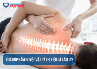 Xoa bóp bấm huyệt vật lý trị liệu và ứng dụng thực tế trong điều trị bệnh
