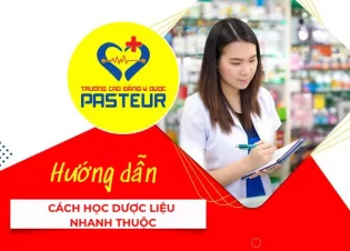 Hướng dẫn cách học Dược liệu nhanh thuộc dành cho sinh viên Y Dược