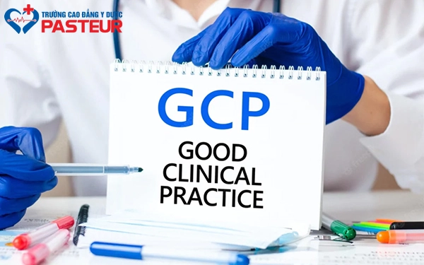 GCP trong ngành Dược là gì?