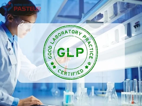 GLP trong ngành Dược là gì?