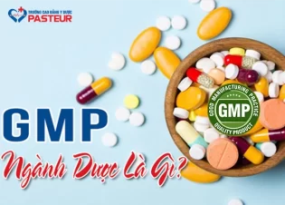 GMP trong ngành Dược là gì và vai trò của nó