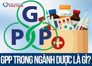 GPP trong ngành Dược là gì? Hướng dẫn điều kiện và thủ tục cụ thể
