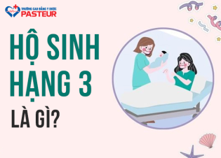 Hộ sinh hạng 3​ là gì? Tiêu chuẩn về trình độ, năng lực chuyên môn và nhiệm vụ