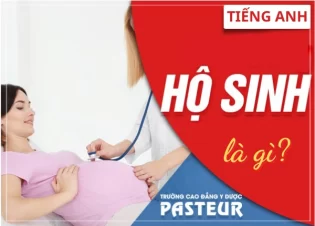 Hộ sinh tiếng Anh là gì? Các thuật ngữ liên quan trong lĩnh vực sản khoa