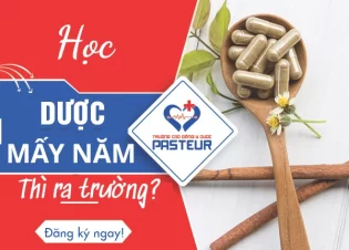 Học Dược mấy năm thì ra trường?