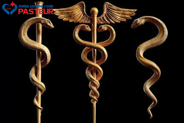 Ý nghĩa biểu tượng con rắn ngành Dược