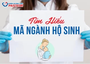Cập nhật mã ngành Hộ sinh và các trường đào tạo uy tín tại Việt Nam
