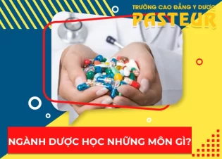 Ngành Dược học những môn gì trong chương trình đào tạo?