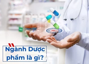 Ngành Dược phẩm là gì? Tìm hiểu vai trò, đặc điểm và tiềm năng phát triển