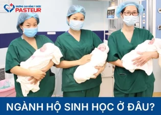 Ngành Hộ sinh học ở đâu? Các trường đào tạo Hộ sinh chất lượng hiện nay