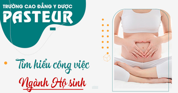 Ngành Hộ sinh là gì?