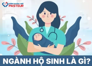 Ngành Hộ sinh là gì? Ưu, nhược điểm và cơ hội việc làm sau khi tốt nghiệp 