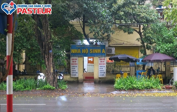 Thủ tục và hồ sơ cấp phép hoạt động Nhà hộ sinh