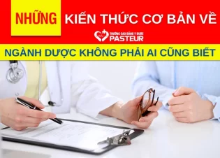 Bật mí những kiến thức cơ bản về ngành Dược không phải ai cũng biết