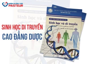 Môn Sinh học di truyền Cao đẳng Dược - Nền tảng kiến thức quan trọng