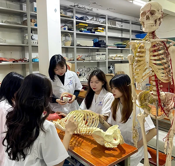 Phương pháp học tốt môn Sinh học di truyền dành cho sinh viên Cao đẳng Dược
