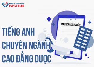 Tổng hợp các từ vựng Tiếng Anh chuyên ngành Cao đẳng Dược thông dụng