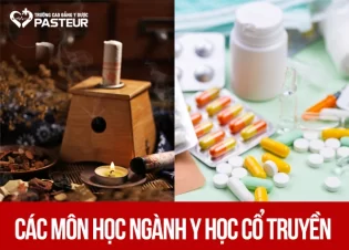 Các môn học ngành Y học cổ truyền: Danh sách chi tiết dành cho tân sinh viên