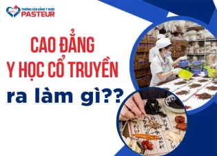 Cao đẳng Y học cổ truyền ra làm gì? Các hướng đi cho người mới tốt nghiệp
