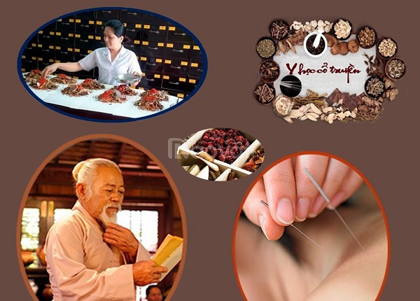 Cao đẳng Y học cổ truyền ra làm gì? Các hướng đi cho người mới tốt nghiệp