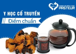 Điểm chuẩn Y học cổ truyền các trường Đại học trên toàn quốc