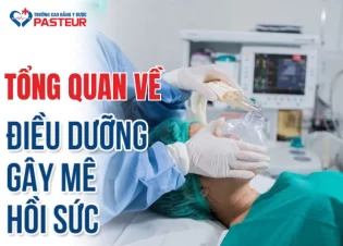Tổng quan về nhiệm vụ và vai trò của Điều dưỡng gây mê hồi sức