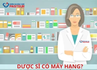 Dược sĩ có mấy hạng? Giải đáp chi tiết