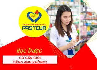 Học Dược có cần giỏi tiếng Anh không? Gợi ý bí quyết học tiếng Anh