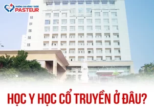 Học Y học cổ truyền ở đâu? Top trường đào tạo uy tín nhất hiện nay
