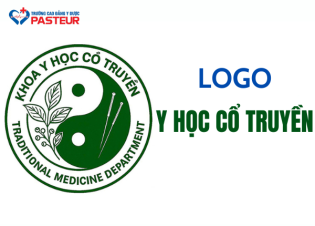 Logo Y học Cổ truyền ấn tượng, thể hiện tinh hoa Đông y Việt Nam