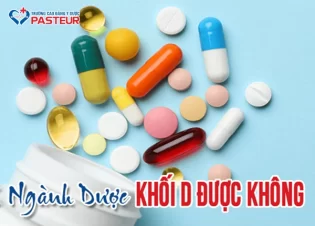 Ngành Dược khối D​ học được không? Trường nào đang xét tuyển?