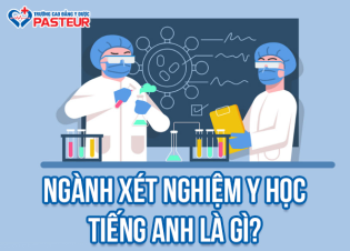 Ngành Xét nghiệm Y học tiếng Anh là gì? Các thuật ngữ thông dụng trong chuyên ngành