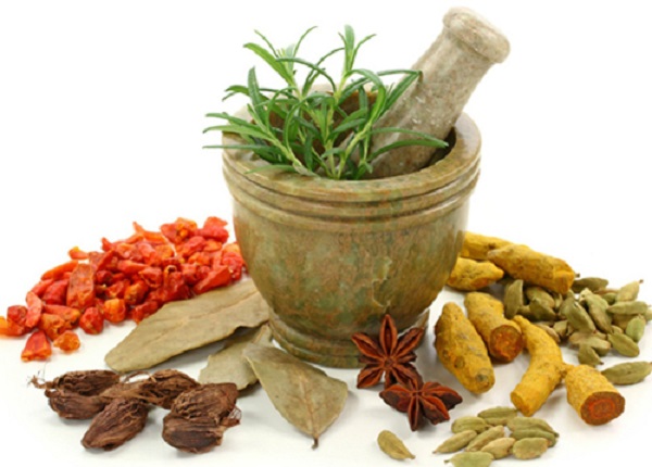 Vai trò và ý nghĩa của Thông tư 05 đối với Y học cổ truyền