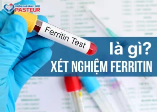 Xét nghiệm Ferritin là gì? Những điều quan trọng bạn nên biết