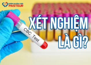 Xét Nghiệm Là Gì Trong Y Học? Vai Trò, Quy Trình Và Kết Quả Phản Ánh Điều Gì?