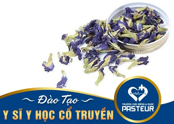 Điều kiện xét tuyển hệ Cao đẳng Y học cổ truyền