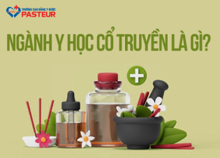 Y học cổ truyền là gì? Khái niệm, đặc điểm và vai trò trong chăm sóc sức khỏe