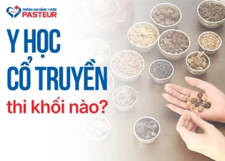 Y học cổ truyền thi khối nào? Những lưu ý quan trọng khi chọn ngành