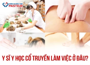 Y sĩ Y học cổ truyền là gì? Công việc, vai trò và cơ hội nghề nghiệp hiện nay